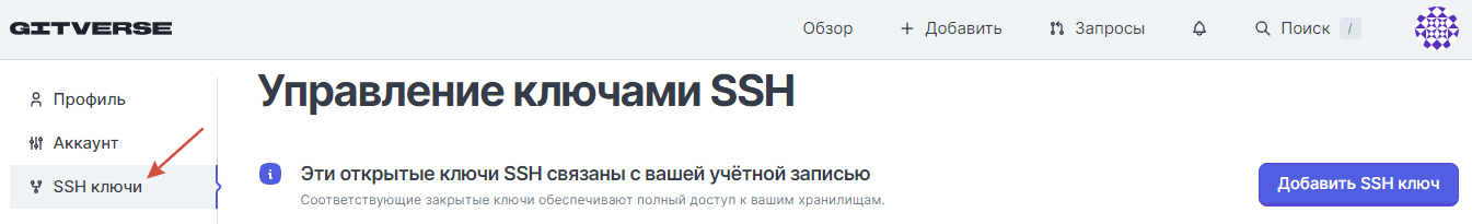 Вкладка SSH Ключи