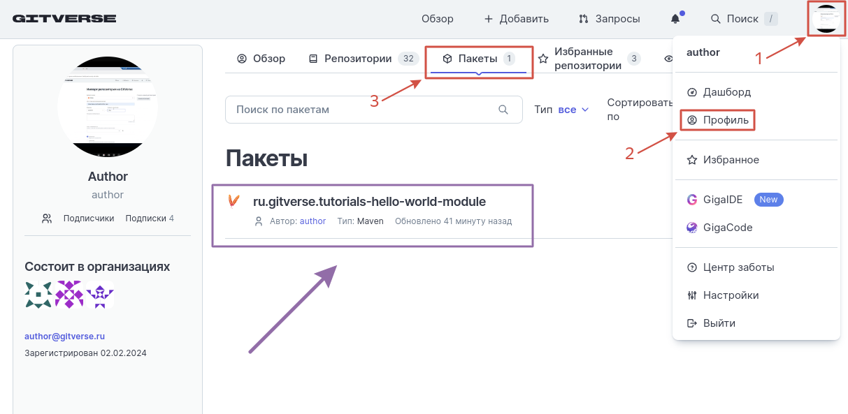 Опубликованный пакет отобразится в профиле пользователя > Пакеты