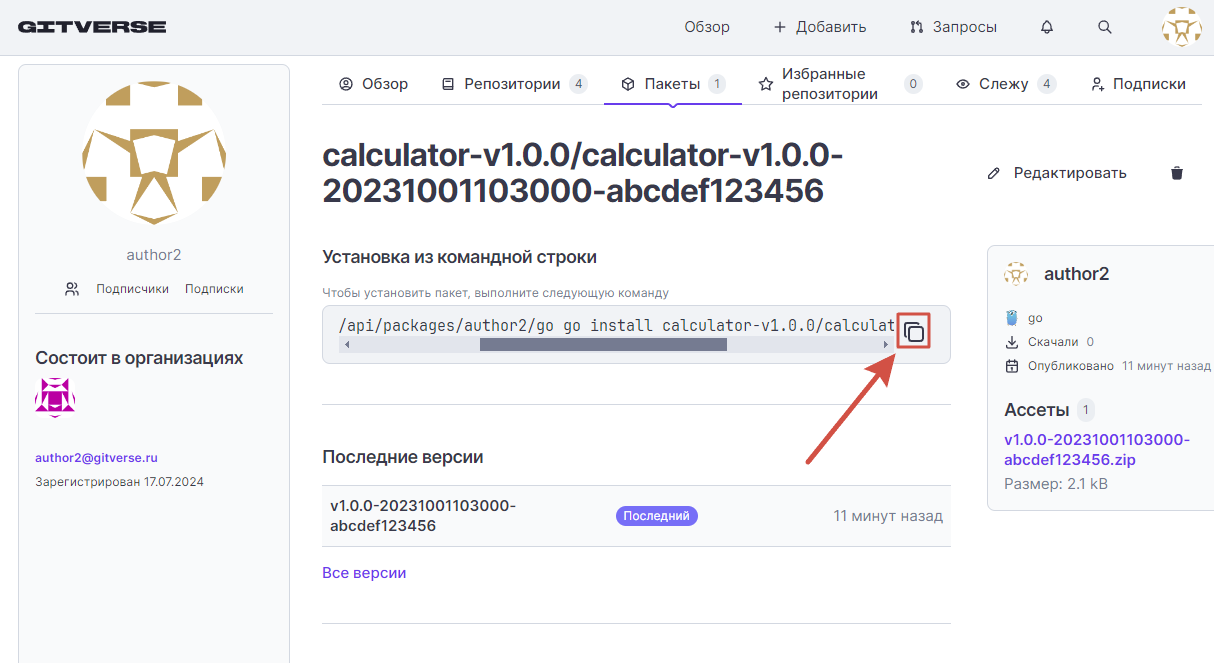 Порядок установки Go пакета на странице пакета