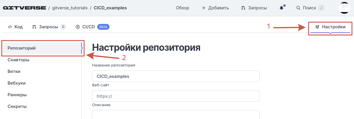 Страница репозитория, вкладка Настройка, вложенная вкладка Репозиторий, блок 1