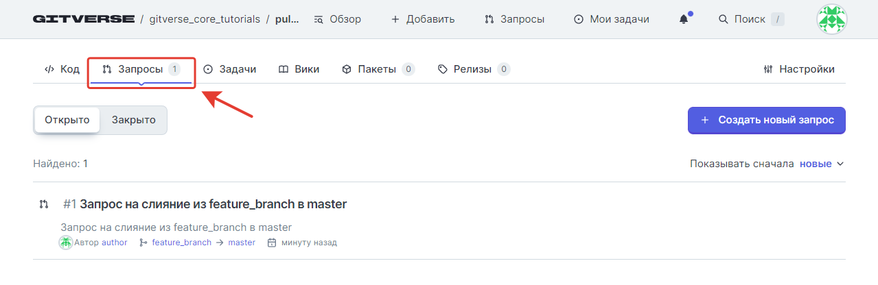 Страница репозитория, вкладка Запросы