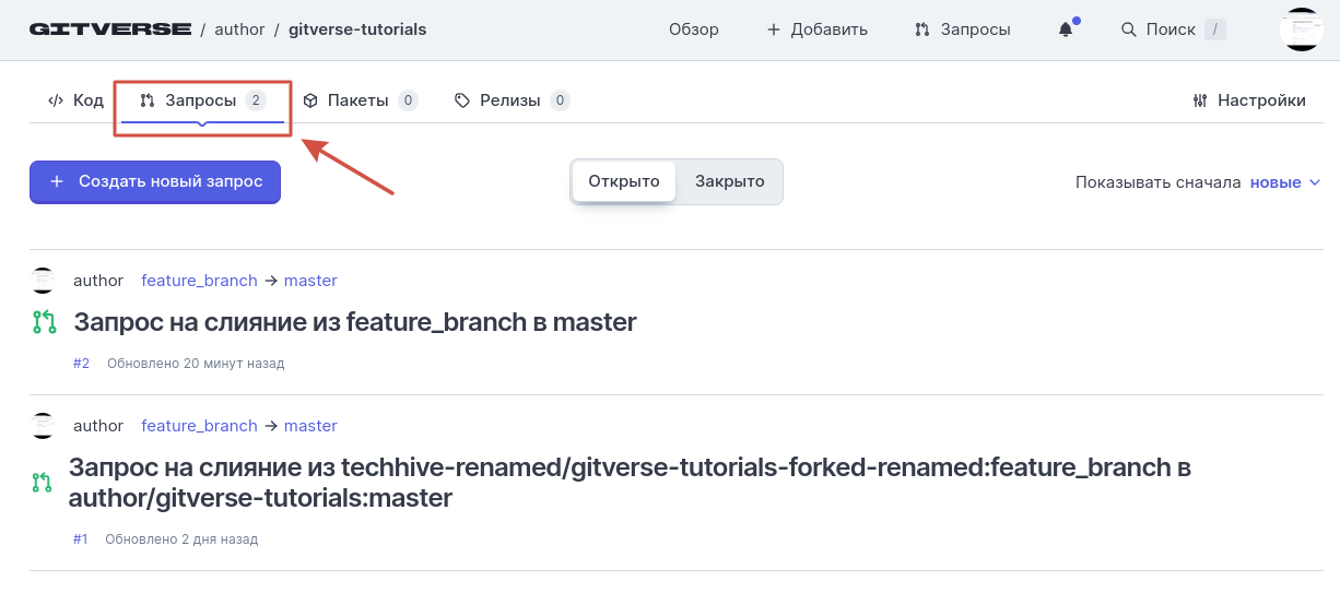 Страница репозитория, вкладка Запросы