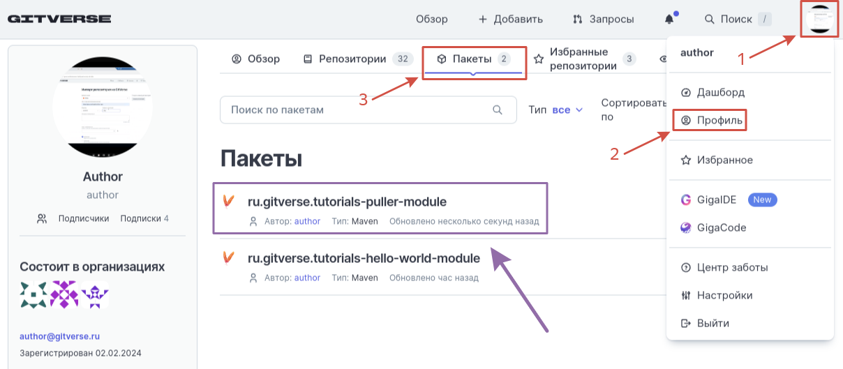 Второй пакет отобразится в профиле пользователя > Пакеты.