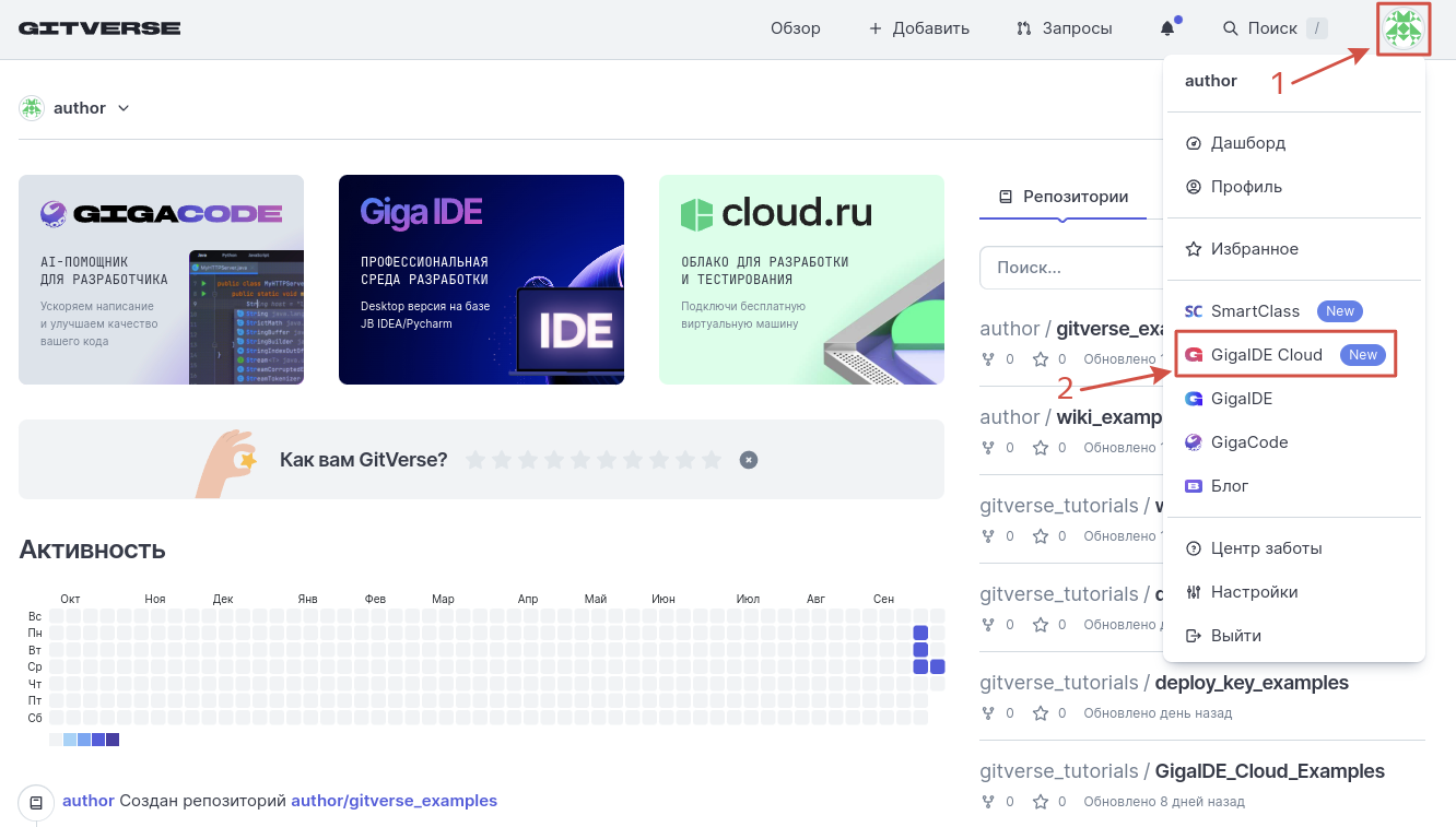 Иконка пользователя в верхней правой части страницы, GigaIDE Cloud