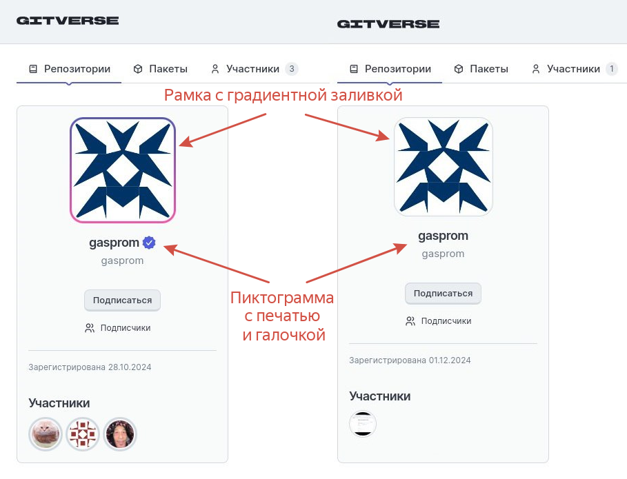 страница профиля созданной организации